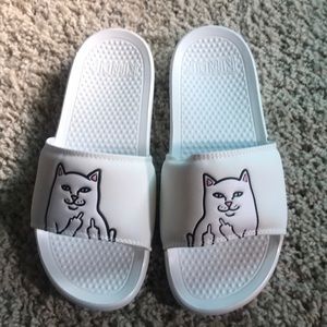 RIPNDIP slides
